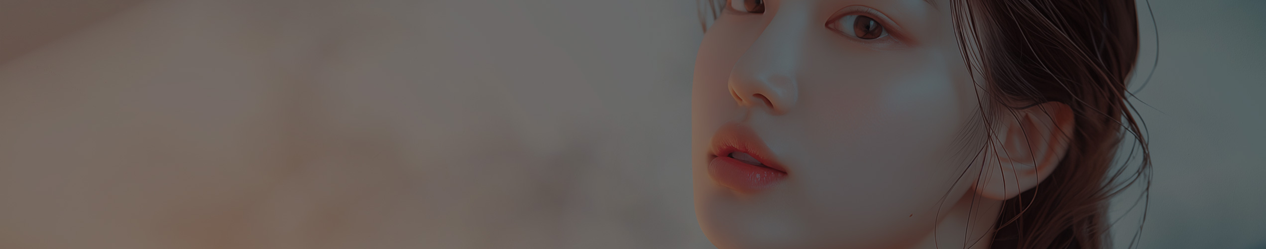 배너
